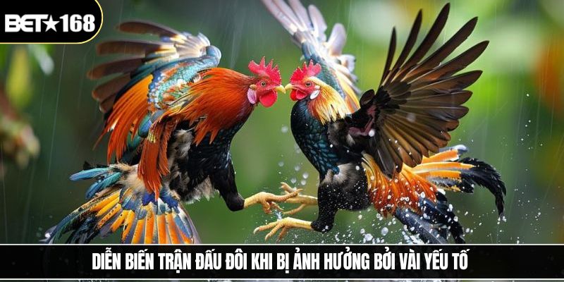 Diễn biến trận đấu đôi khi bị ảnh hưởng bởi vài yếu tố